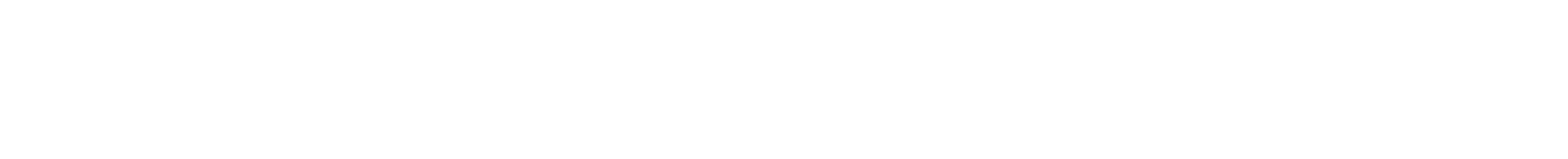 sortation conveyor logo