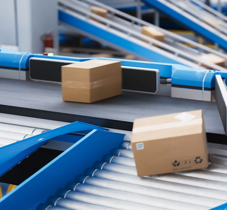 sortation conveyor